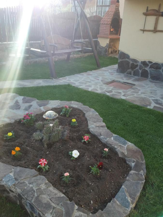 Casa Vlasea Albesti Sighisoara Bed and Breakfast Esterno foto